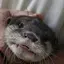 れおのプロフィール画像