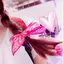chihiroのプロフィール画像