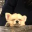 riのプロフィール画像
