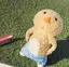 りこのプロフィール画像