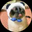 nkkumi のプロフィール画像