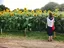 菜々花のプロフィール画像