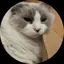 ふうこのプロフィール画像