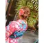 tomi_0828のプロフィール画像