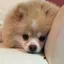 みいのプロフィール画像