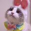 すずのプロフィール画像