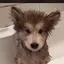 みのりのプロフィール画像