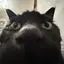 まのプロフィール画像