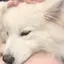🩷のプロフィール画像