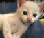 ゆうのプロフィール画像