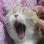 けいこのプロフィール画像