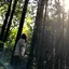 eenieのプロフィール画像