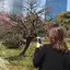はなこのプロフィール画像