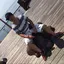 翼のプロフィール画像
