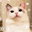pupuのプロフィール画像