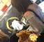 はるかのプロフィール画像