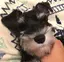 zuuのプロフィール画像