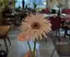 Lunのプロフィール画像