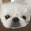 しゅりのプロフィール画像