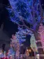 ななこのプロフィール画像