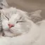 maiのプロフィール画像