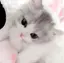 mのプロフィール画像