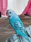 Hのプロフィール画像