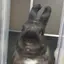 ぽてやまぽてじろうのプロフィール画像