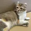 ゆうりのプロフィール画像