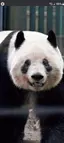 rengeのプロフィール画像