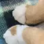 さかなのプロフィール画像