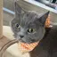 FUのプロフィール画像