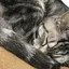 あつやのプロフィール画像