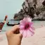 ゆうかのプロフィール画像