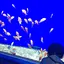 Koharuのプロフィール画像