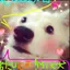 むむのプロフィール画像