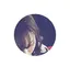 misakiのプロフィール画像