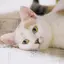 hのプロフィール画像