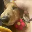 葉月のプロフィール画像