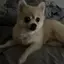 Saraのプロフィール画像