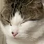 るんのプロフィール画像