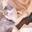 ちーのプロフィール画像