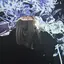 mkのプロフィール画像