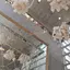 もちのプロフィール画像