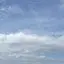 リンのプロフィール画像