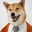なかじまのプロフィール画像