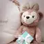 LittleBearのプロフィール画像