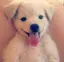 ちぃのプロフィール画像