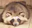 ゆりのプロフィール画像