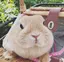 美羽のプロフィール画像